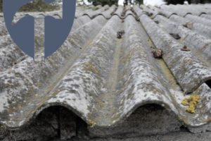 Eternitplatten entsorgen – Kosten & Preise 2024