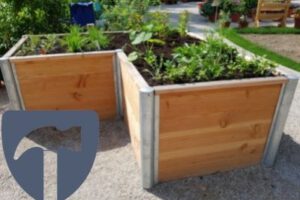 Kosten fürs Hochbeet selber bauen – Preisübersicht & Tipps