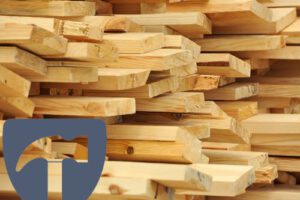 Holz entsorgen – Kosten & Preise 2024