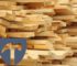 Holz entsorgen – Kosten & Preise 2024