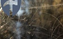 Kratzer im Fenster selber entfernen Preis