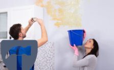 Wasser schaden Kosten