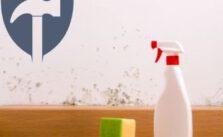 Schimmelentfernung selber machen Preis